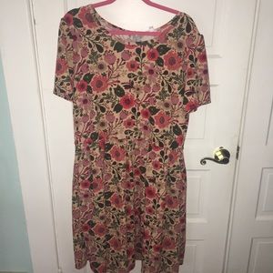 LuLaRoe Amelia dress